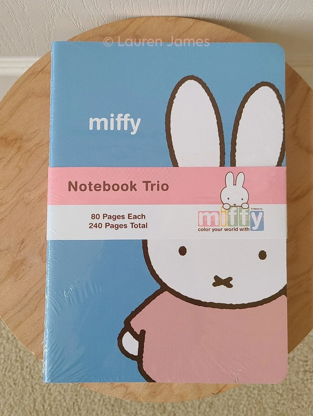 Miffy Blue and Green Notebook Set